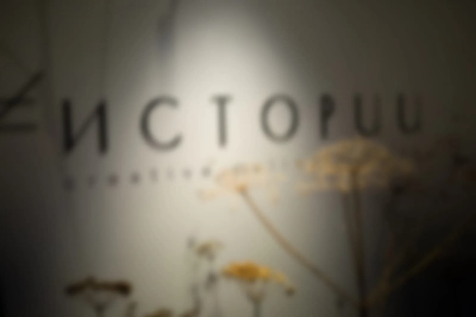 Истории